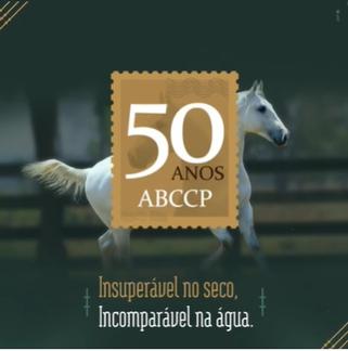 Versátil, Cavalo Pantaneiro conquista espaço no mercado – Revista Rural